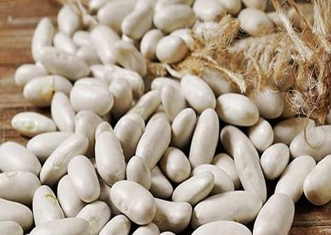 خرید و فروش لوبیا سفید ایران با شرایط فوق العاده